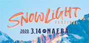 Snow Light Festival